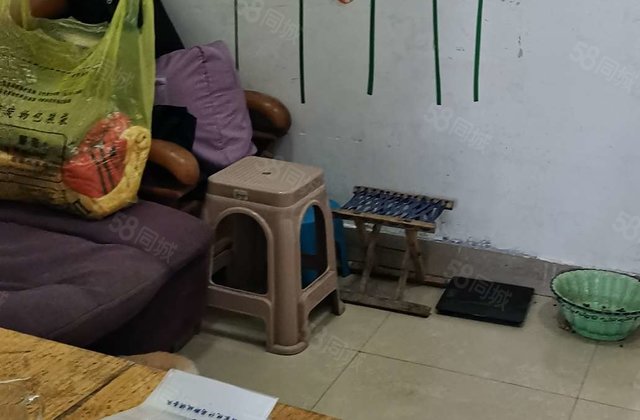 文轩西校，望湖花园，户型方正南北通透