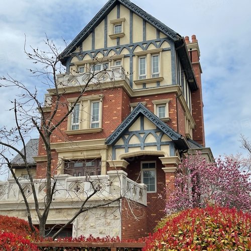 鳌山卫镇商用住楼