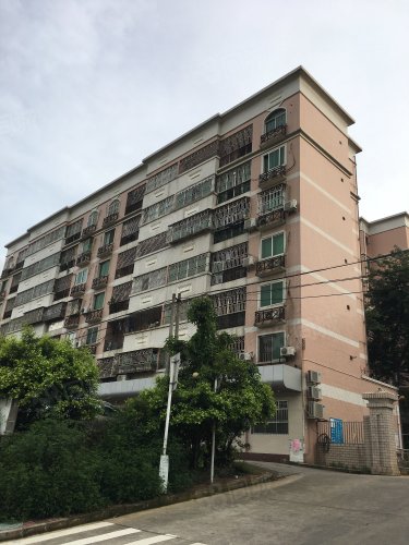 布吉二手房  布吉街二手房