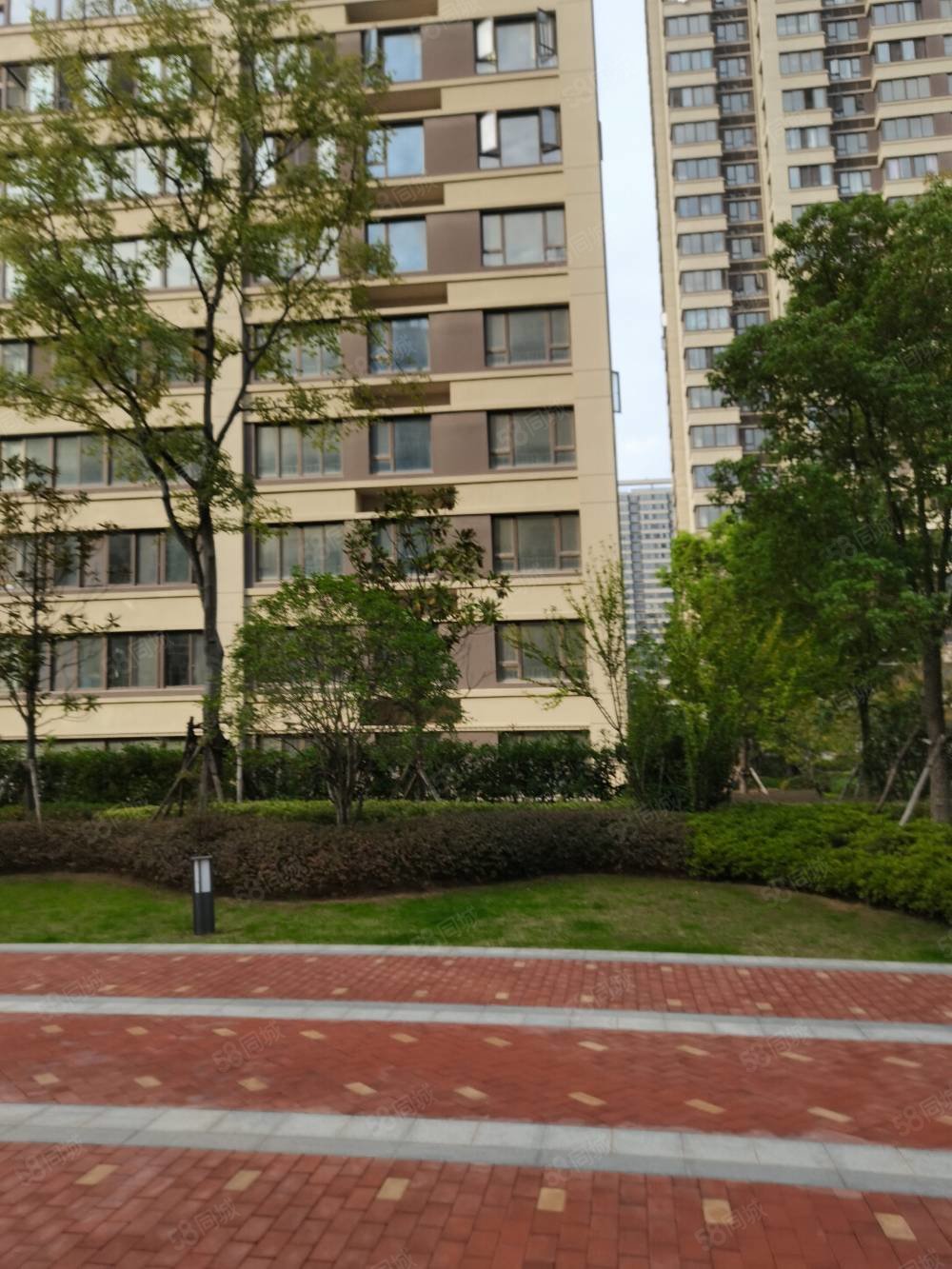 伟星金悦府3室2厅2卫123㎡南北188万