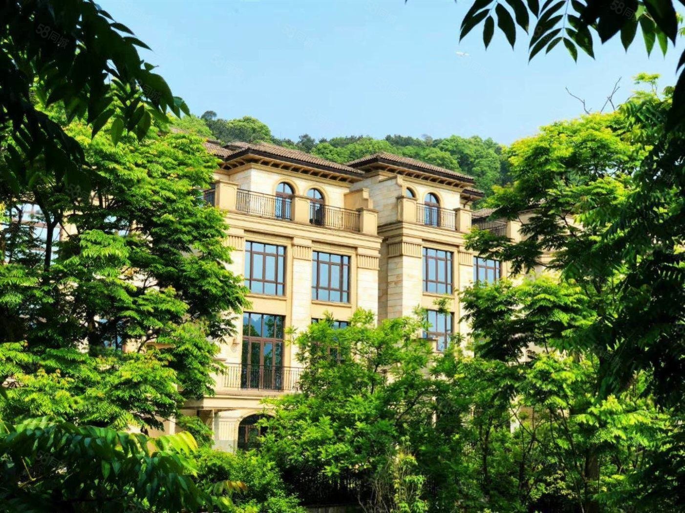 450万,半山独栋墅社区双车位,带人民和二wai,翡翠御园-重庆58同城