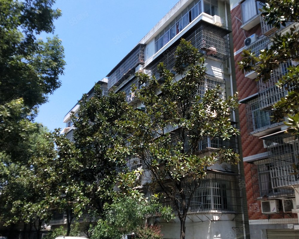 【紫东花园, 紫东花园小区详情,房价走势,房源,业主论坛】- 常德58