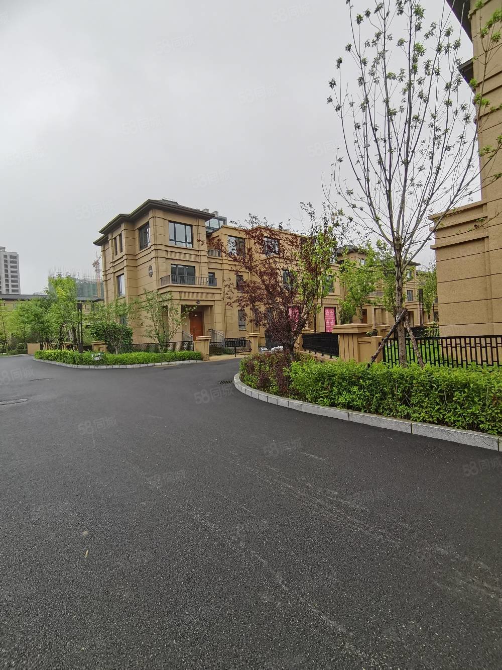 【10图】沈北明发,联排别墅现房,北入户南花园,地上三层,看房方便