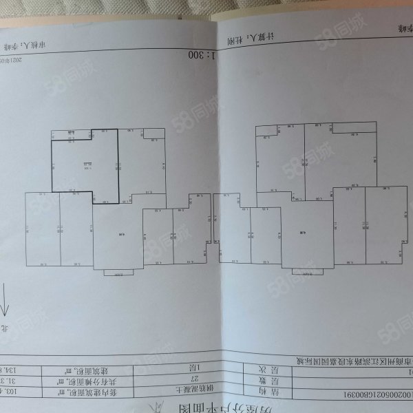 嘉园国际城4室2厅2卫270㎡南北125万