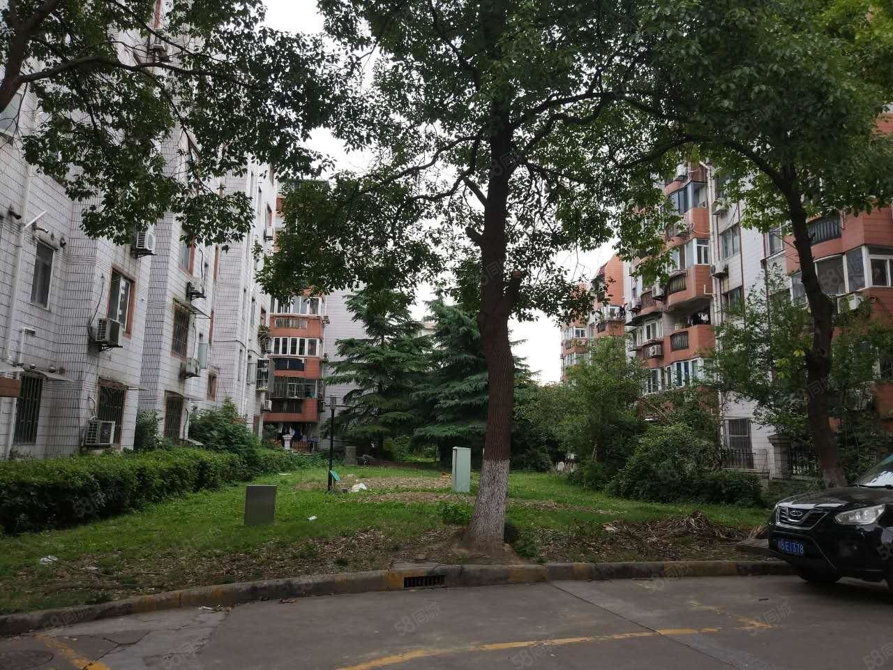 御桥 康桥花园东园 南北通 满五 诚意出售随时看房