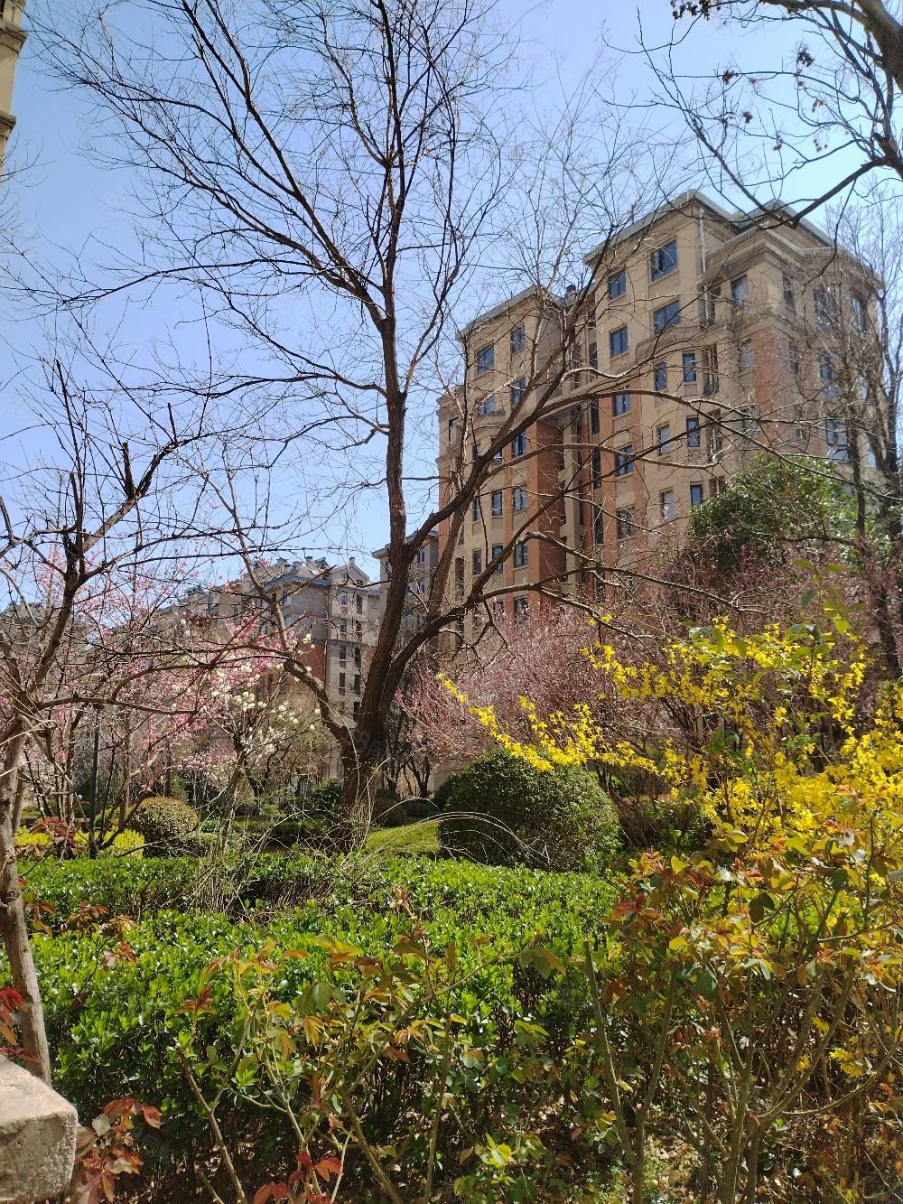 有车位 南坊洋房,圣兰菲诺(公寓住宅)-临沂58同城