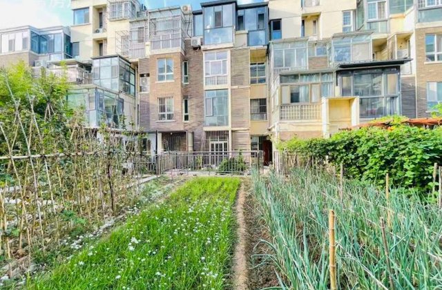 聊城东昌湖边  洋房急售 一楼带超大院子 休闲养生 随时看房