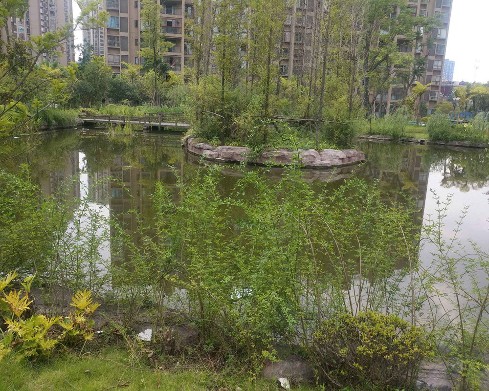 【北城蓝湖(b区 北城蓝湖(b区)小区详情,房价走势,房源,业主论坛】