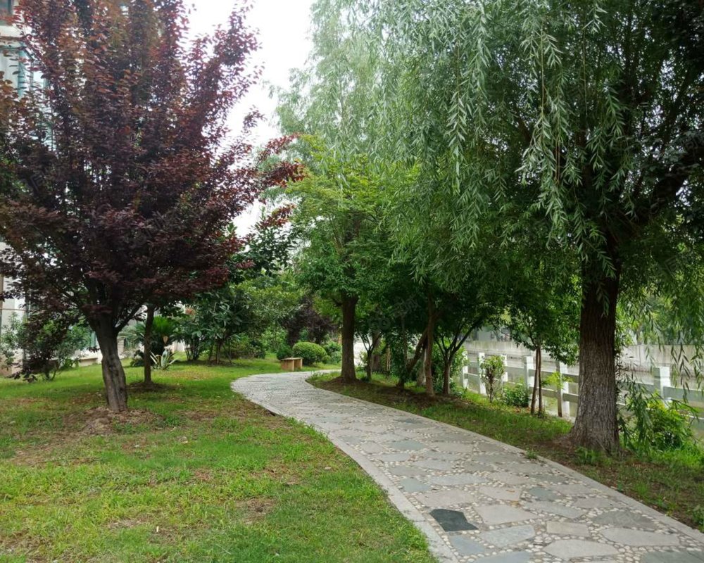 【华庄中心村, 华庄中心村小区详情,房价走势,房源,业主论坛】- 上海