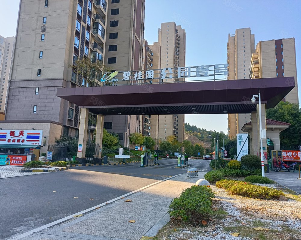 碧桂园公园壹号