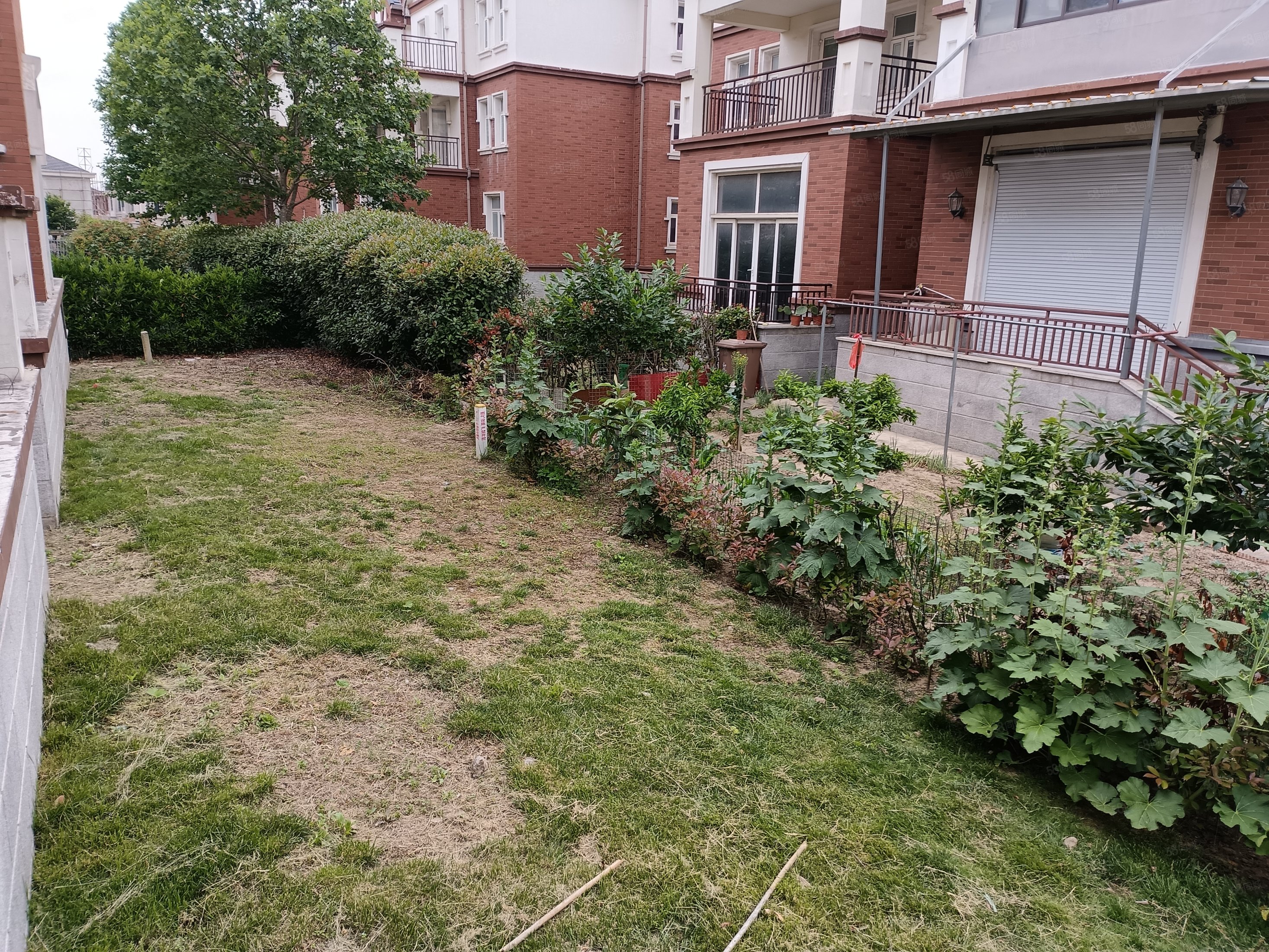 江南水郡(别墅)6室4厅4卫280㎡南北370万