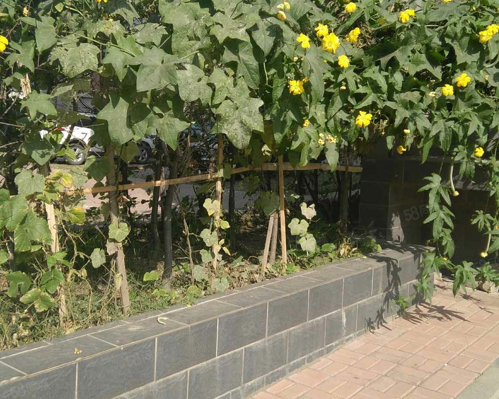 【景怡花园, 景怡花园小区详情,房价走势,房源,业主论坛】- 太原58