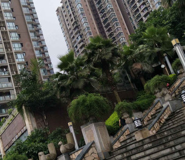小区图片