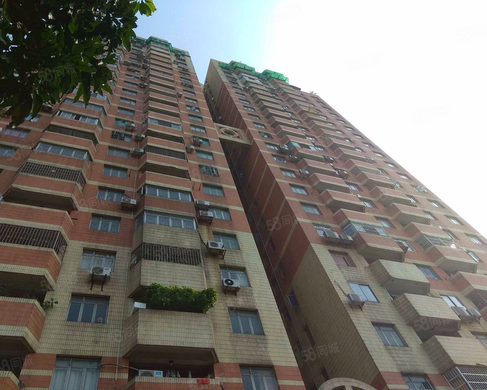 花地湾荷花苑小区详情,房价走势,房源,业主论坛】- 广州58同城