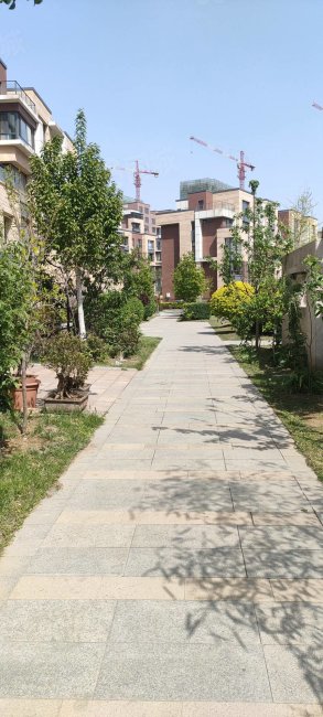 湖海假日洋房平层房主精装三室两卫全天采光配合贷款