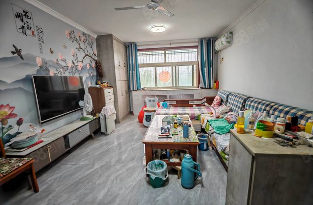 文轩，东关，维尼斯花园，回民小区，闸北小区精装三室带储免大税