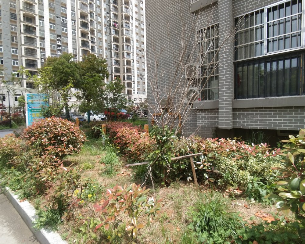 花园新村二期(五河)