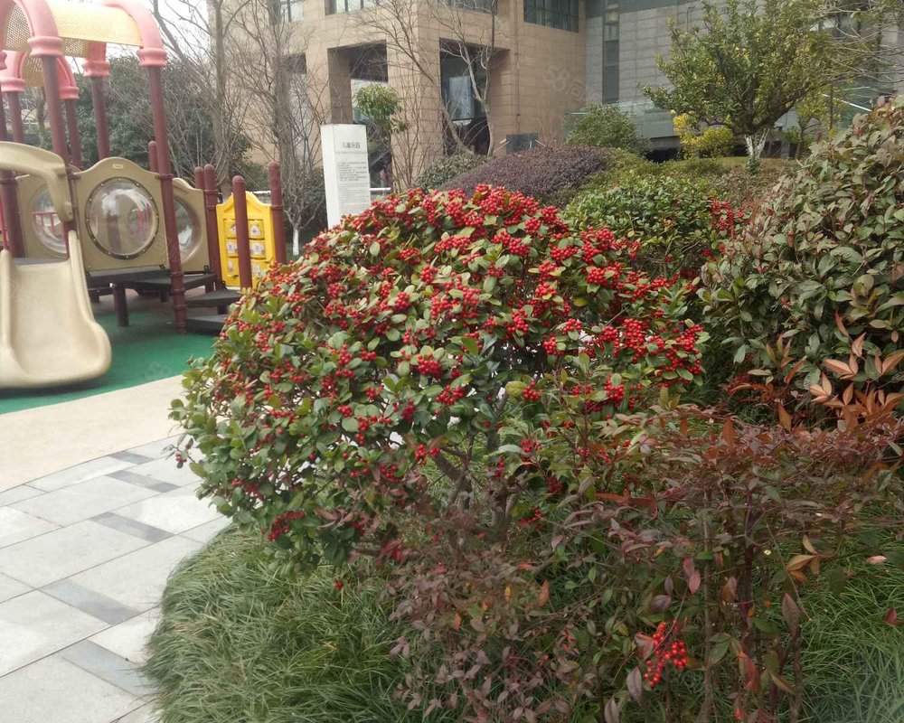 【恒元悦府, 恒元悦府小区详情,房价走势,房源,业主论坛】- 慈溪58