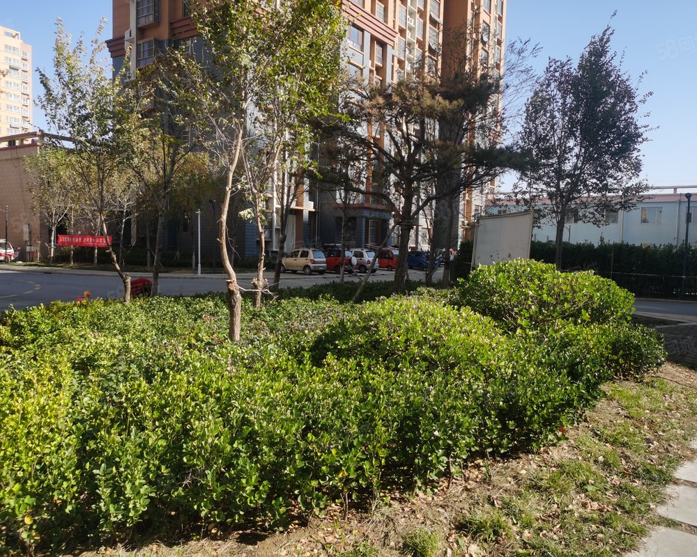 【新城明珠, 新城明珠小区详情,房价走势,房源,业主论坛】- 高唐58