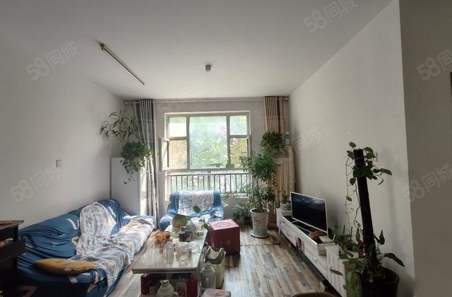 文轩实验外国语凤凰新城多层洋房带储藏室停车方便免大税可按揭