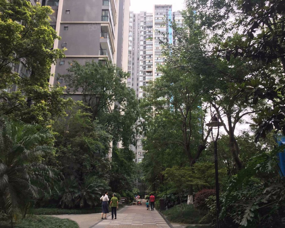 华宇锦城名都a区小区详情,房价走势,房源,业主论坛】- 成都58同城