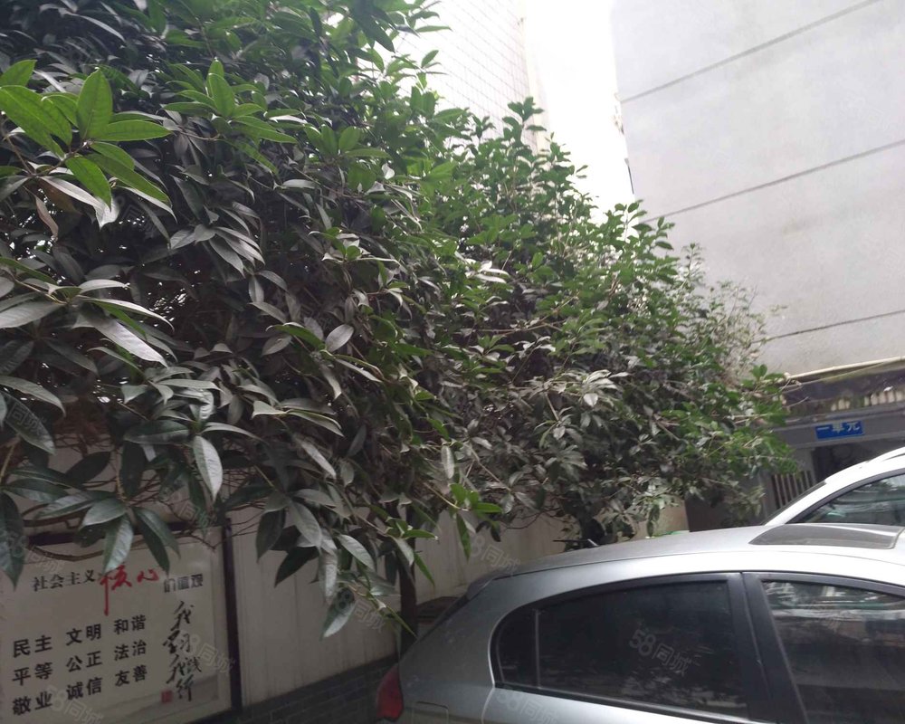 和谐苑(双流)小区详情,房价走势,房源,业主论坛】- 成都58同城