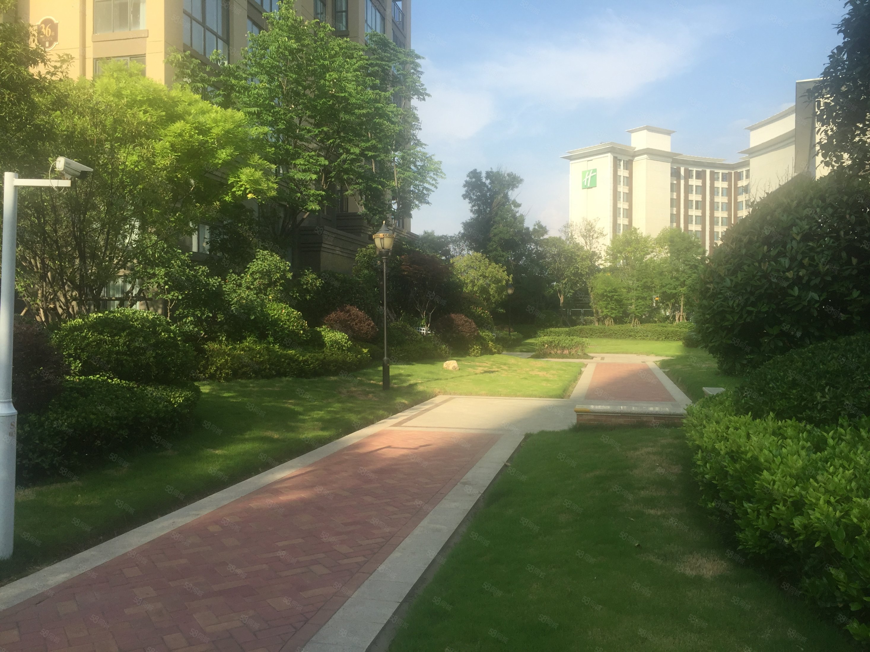 交通便利 有电梯 商品住宅 朝南,宛城建业森林半岛(东区四五期)-南阳