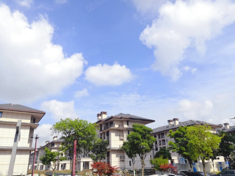 双拼别墅 花桥梦世界 西上海 35万方商业中心 100平花园