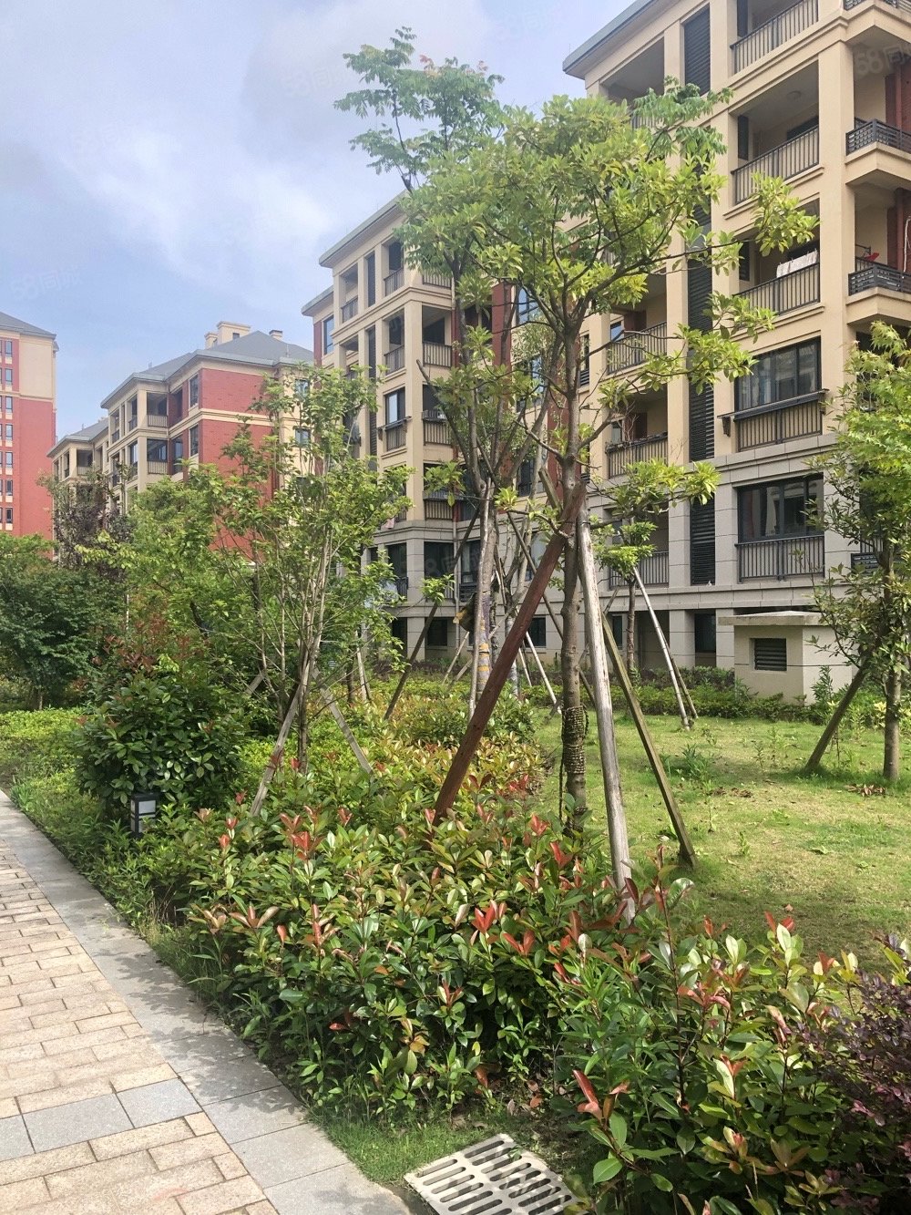 博林华府电梯141平房东降价急卖