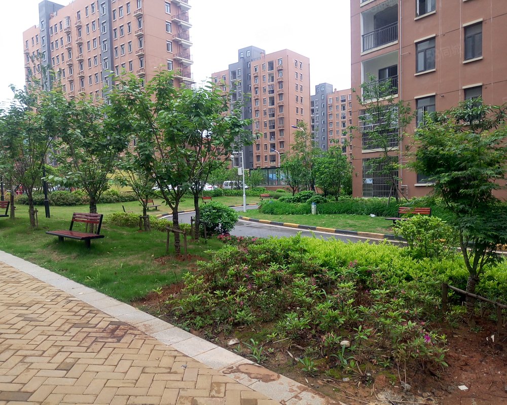 【佛祖岭f区东区, 佛祖岭f区东区小区详情,房价走势,房源,业主论坛】