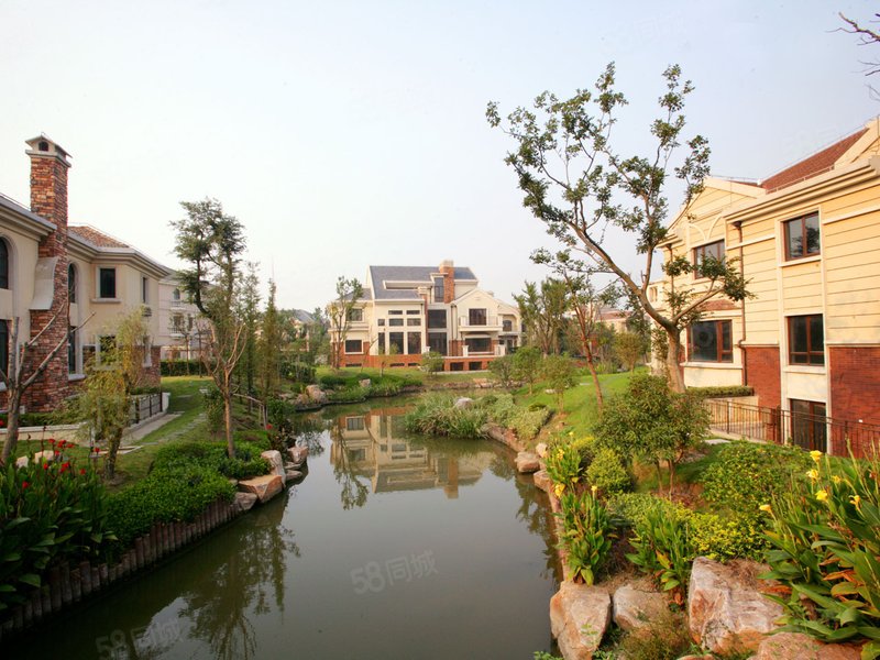 上海周边老洋房,,云湖御墅欧式独栋,2亩地花园,容积率