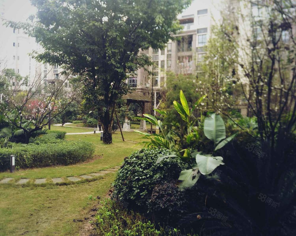 【新康璞山, 新康璞山小区详情,房价走势,房源,业主论坛】- 重庆58