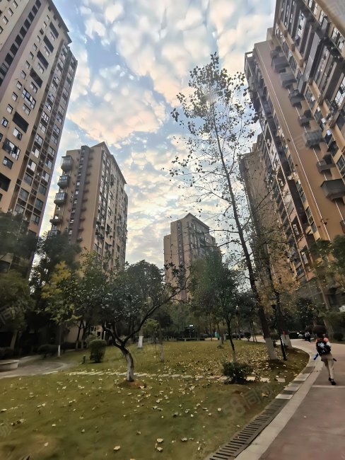 长郡雨外9年 好楼层 嘉华城,嘉华城-长沙58同城