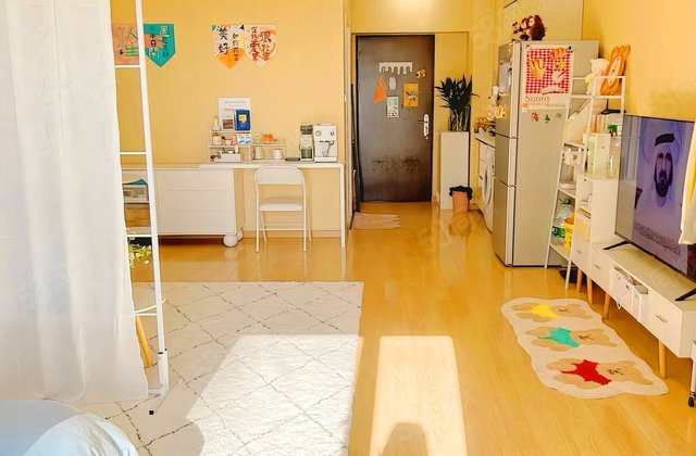 中建天府公馆二期(商住楼)1室1厅44㎡34.3万二手房图片