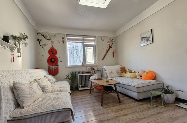 文轩老一中 师范家属院 龙山花园 电业局家属院 文轩花园