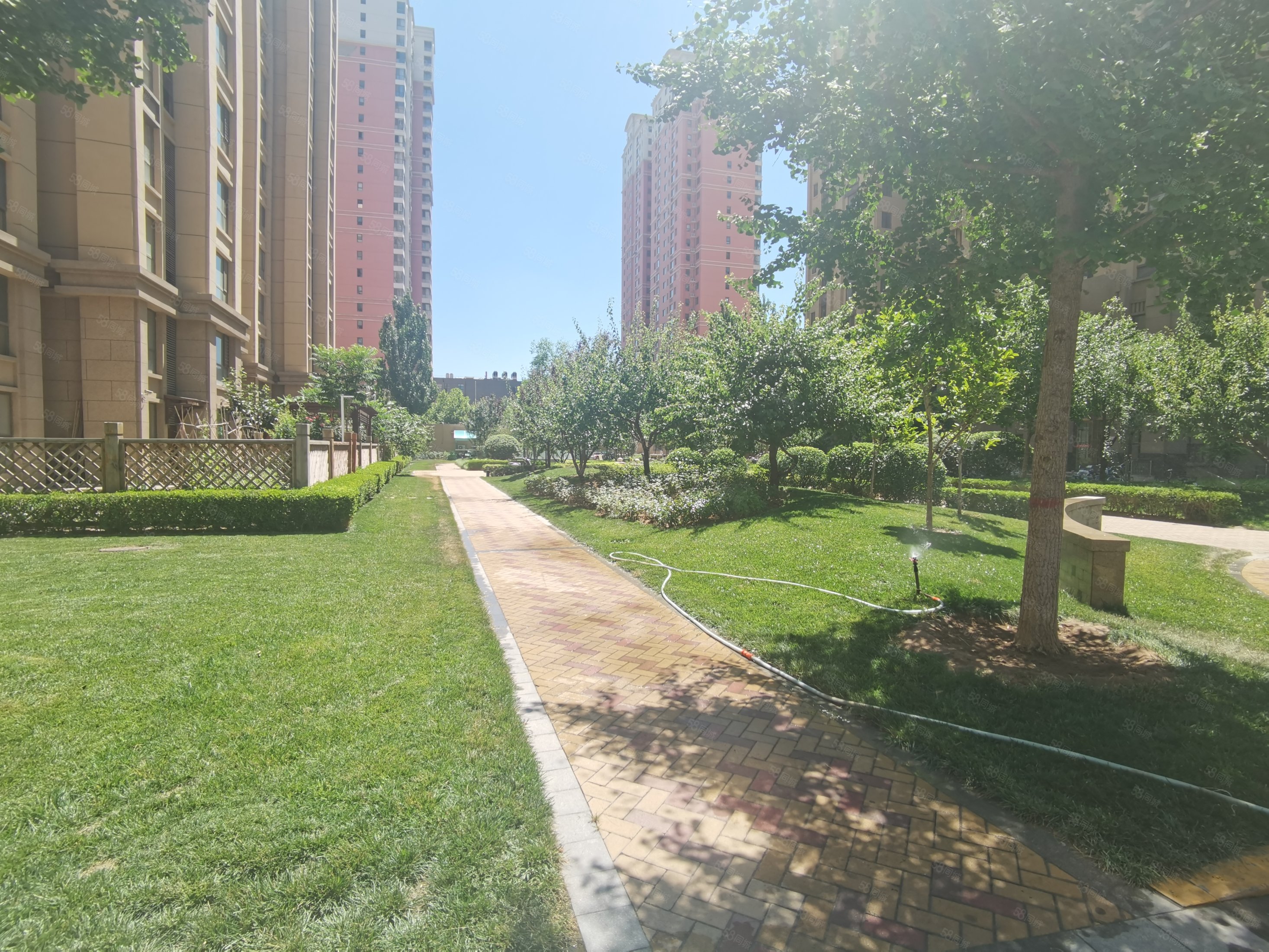 海棠家园 精装三室 全朝阳卧室 低总价 友谊 41中,海棠湾-石家庄58