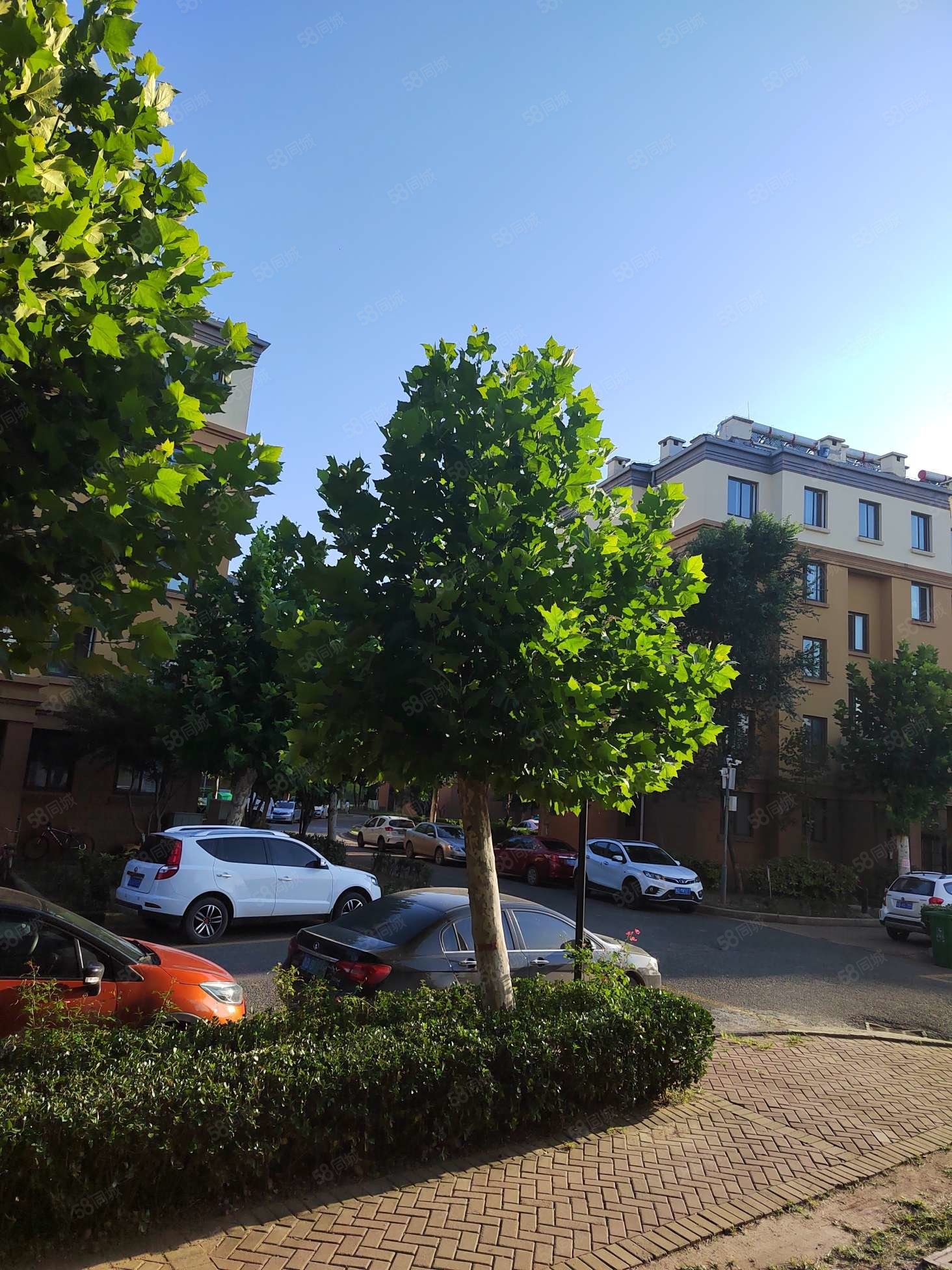 中置青岛风景2室1厅1卫77.79㎡南北41万