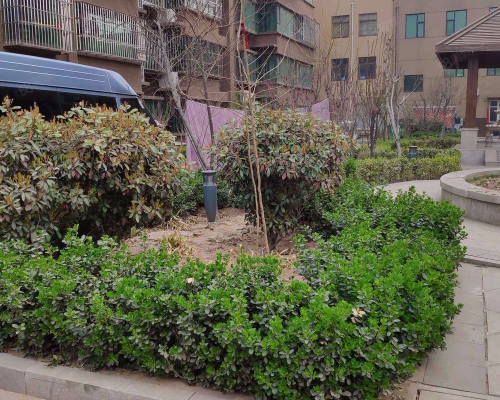 天兆花园(成安)小区详情,房价走势,房源,业主论坛】- 邯郸58同城