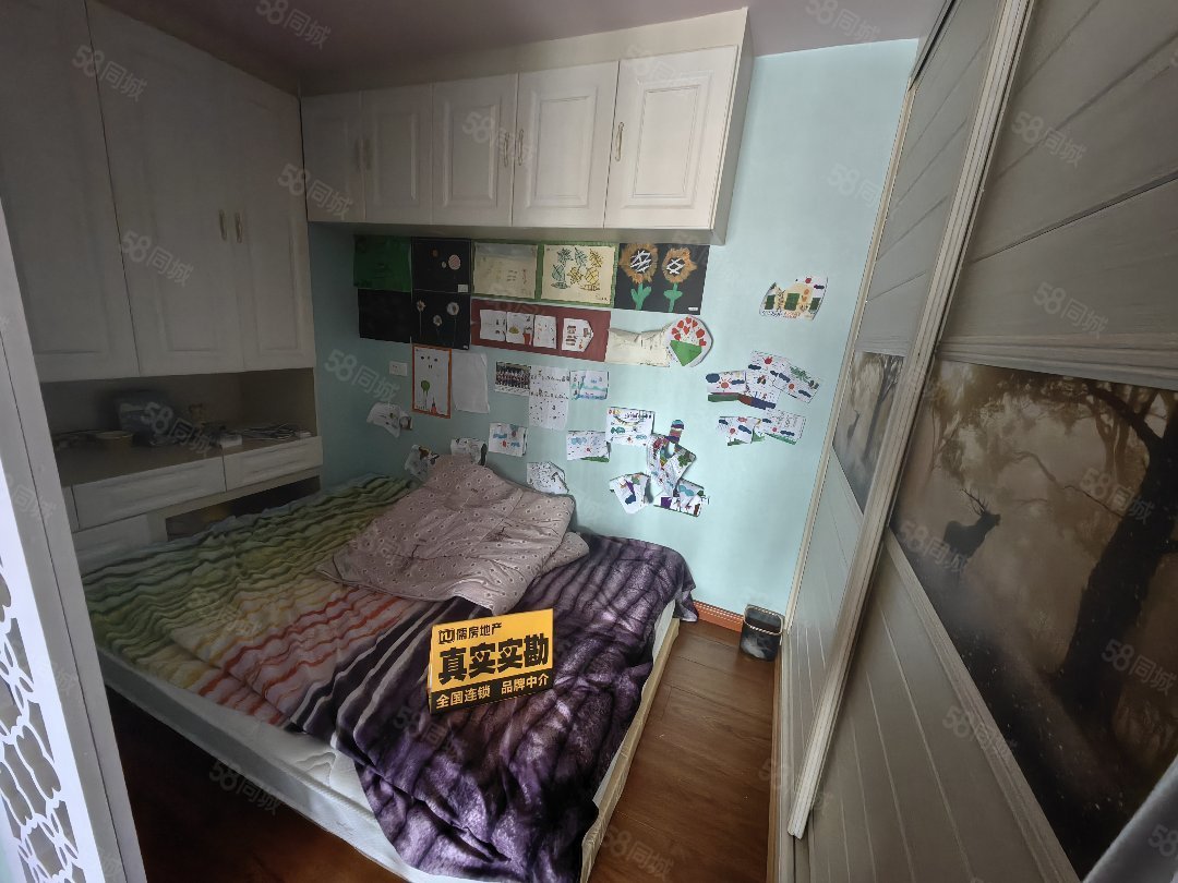 林安国际2室1厅1卫34.4㎡南北13.5万