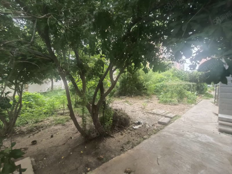 丰水源清华苑3室2厅2卫116㎡南北50万