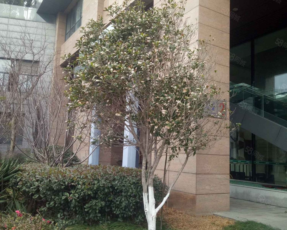 【恒元悦府, 恒元悦府小区详情,房价走势,房源,业主论坛】- 慈溪58