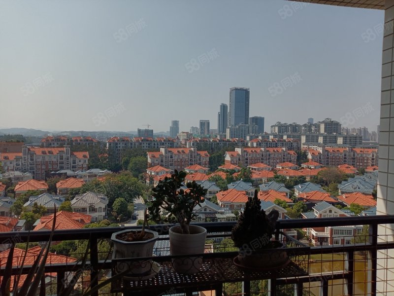 景湖蓝郡一期高楼层视野无遮挡装修好电梯房环境好