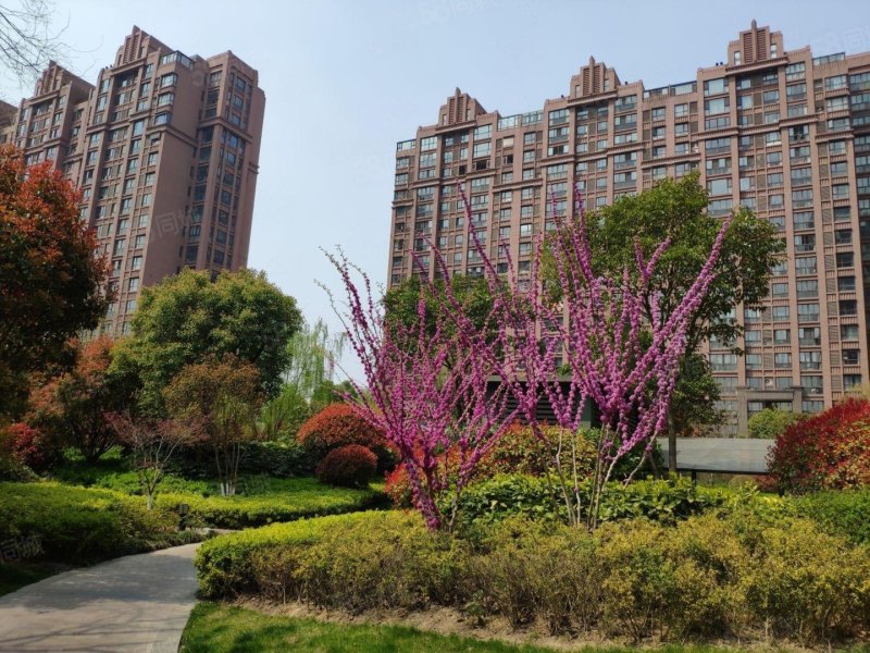 小区前排丨悦珑湾丨精装3房丨一梯一户丨钥匙在手,悦珑湾-盐城58同城