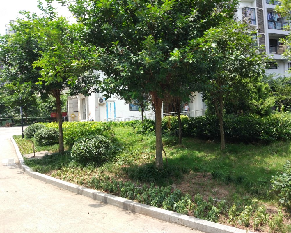 怡和苑(渝北)小区详情,房价走势,房源,业主论坛】- 重庆58同城