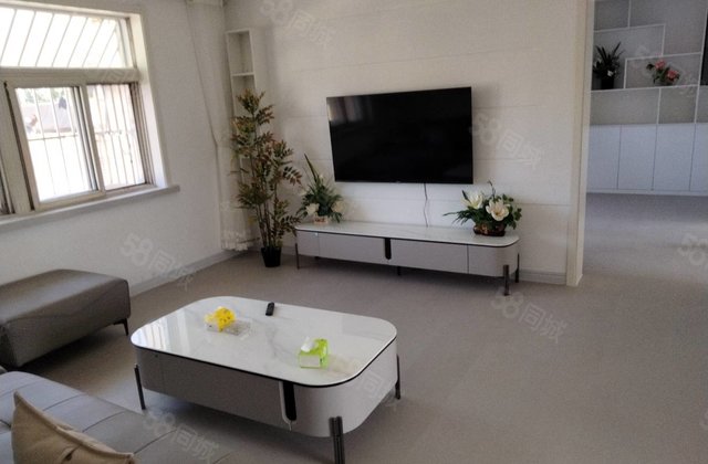 老文轩东关    运河边上精装三室实际平方116平方家具家电