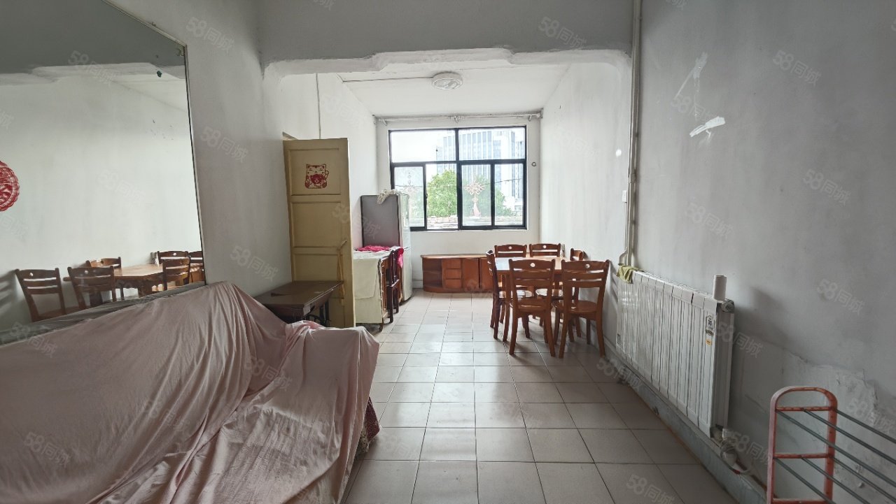 沿河小区2室2厅1卫50㎡南北17万