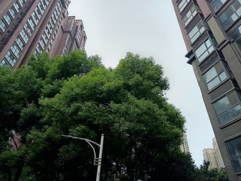 【10图】车站北路翰林华府,精装三室两厅,婚房收选,翰林华府-南阳58