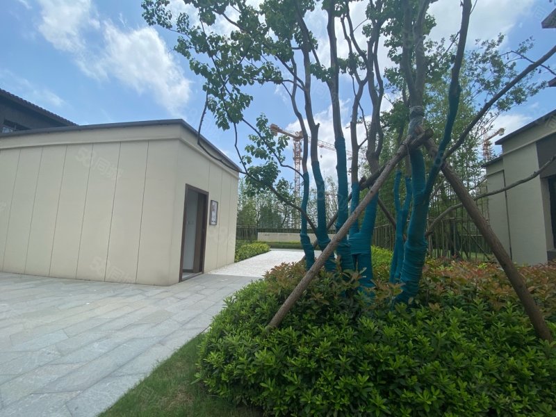 绿地尚湾3室2厅2卫95㎡南北106.9万