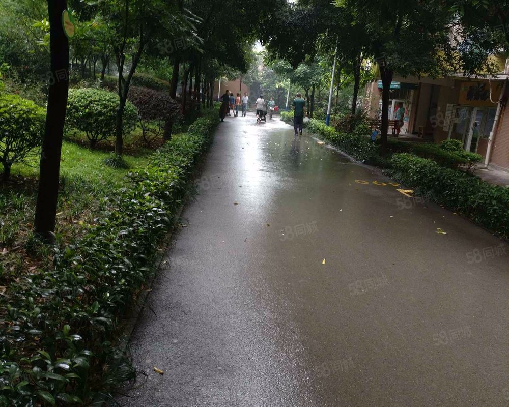 诚投天邻风景小区详情,房价走势,房源,业主论坛】- 重庆58同城