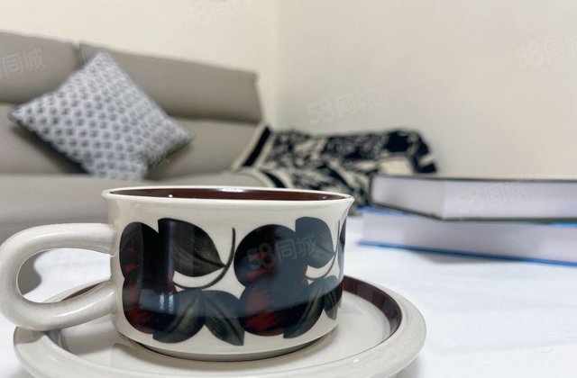 文轩西校，望湖花园，精装修三室两厅一卫 ，新房未住，户型方正